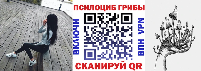 Купить где  Оренбург  Галлюциногенные грибы GOLDEN TEACHER 